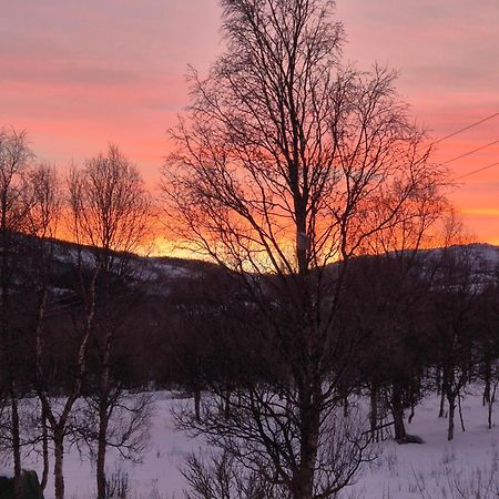 Utsikten Feriehus I Bakkeby エクステリア 写真