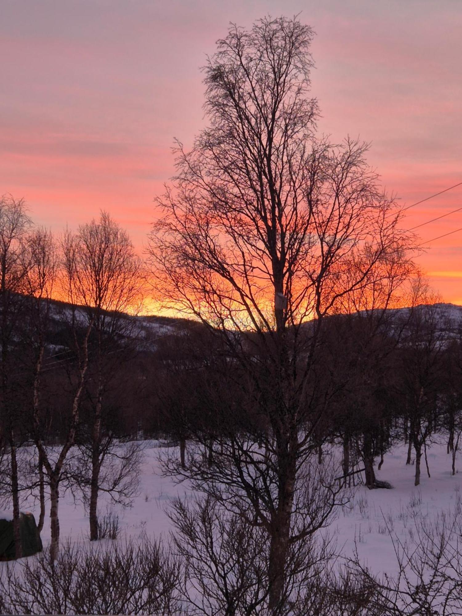 Utsikten Feriehus I Bakkeby エクステリア 写真
