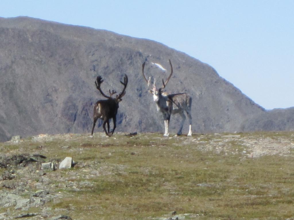 Utsikten Feriehus I Bakkeby エクステリア 写真