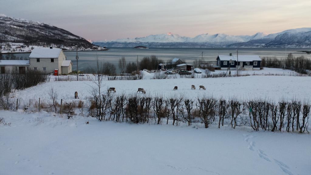 Utsikten Feriehus I Bakkeby エクステリア 写真