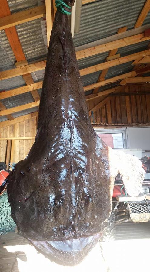 Utsikten Feriehus I Bakkeby エクステリア 写真